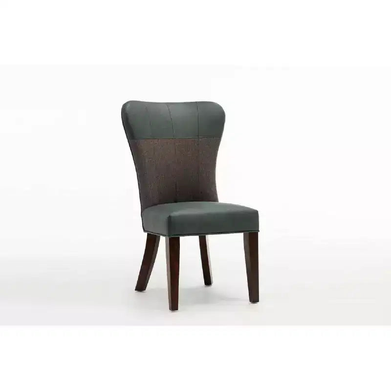 Lot de 2 chaises de salle à manger